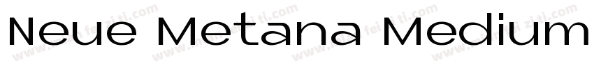 Neue Metana Medium字体转换